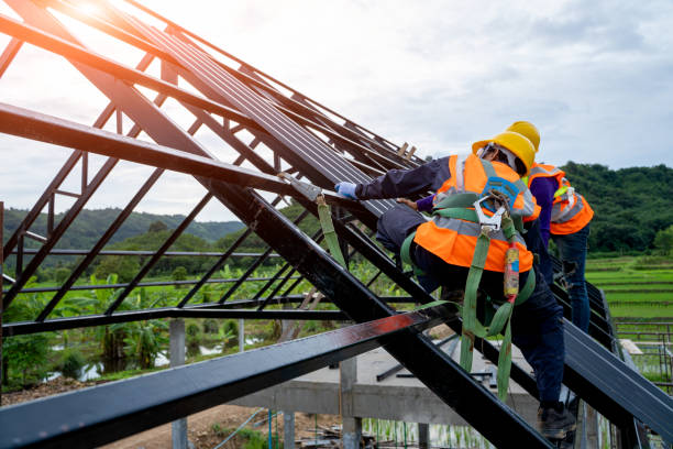 Best Residential Roofing Contractor  in Nashua, IA