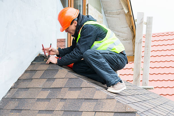 Best Local Roofing Companies  in Nashua, IA